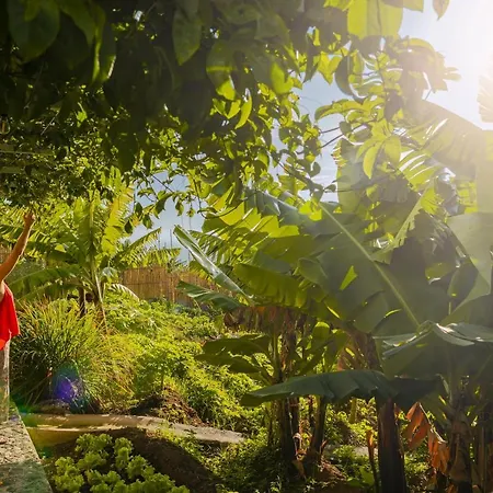 Casas Da Vargem Shared Swimming Pool By An Island *