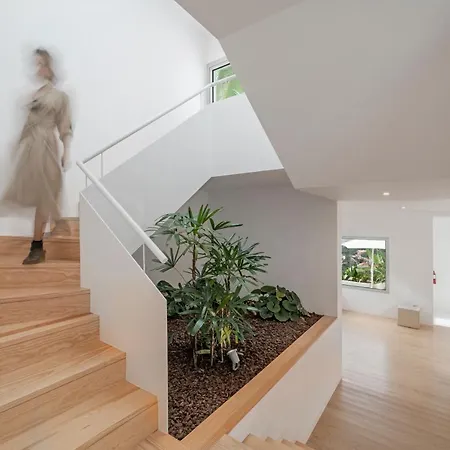 Hébergement de vacances Casas Da Vargem Shared Swimming Pool By An Island Ponta do Sol (Madeira)