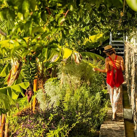 Casas Da Vargem Shared Swimming Pool By An Island * Ponta do Sol (Madeira)