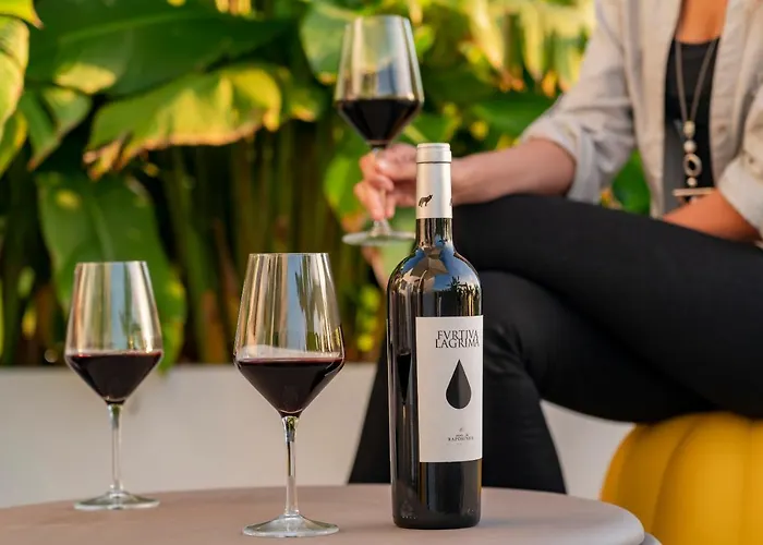 בית נופש Casas Da Vargem Shared Swimming Pool By An Island *