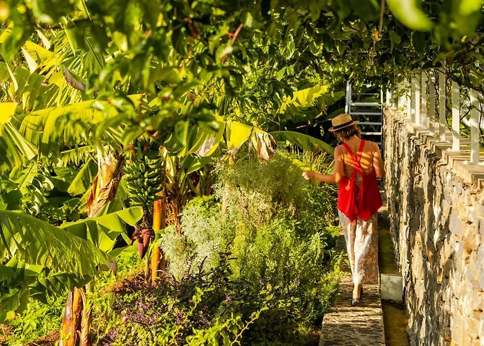 Casas Da Vargem Shared Swimming Pool By An Island * פונטה דו סול