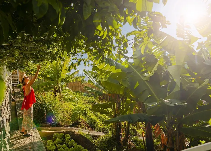 Casas Da Vargem Shared Swimming Pool By An Island *
